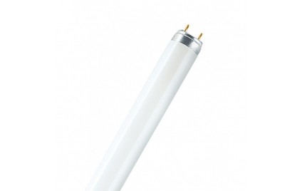 Лампа FL-T8 18W/640 25X1 RU ORBIS 