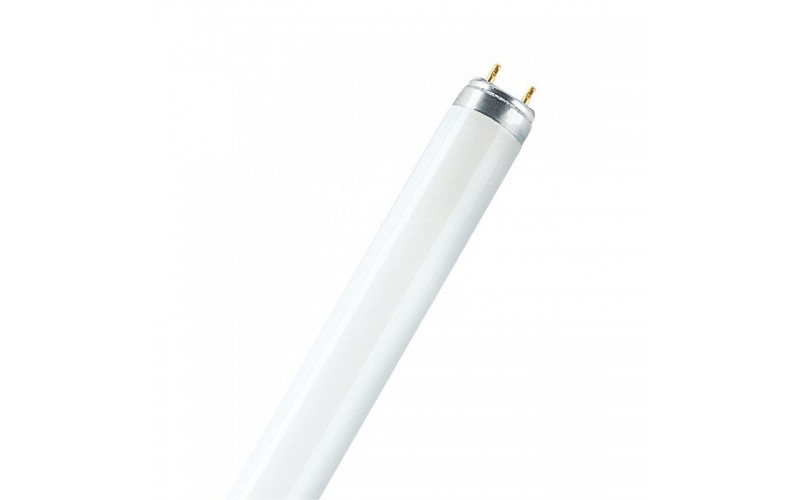 Лампа FL-T8 18W/640 25X1 RU ORBIS