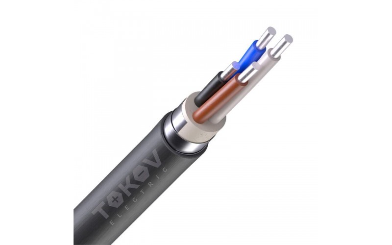 Кабель ВВГнг(А)-LS 4х10 ОК (N) 0.66кВ (м) TOKOV ELECTRIC УТ000028406 (1851726)