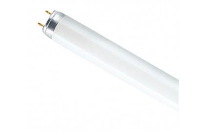 Лампа L-36W/640 G13 4000К 2850лм Ra 60 BASIC OSRAM РБ