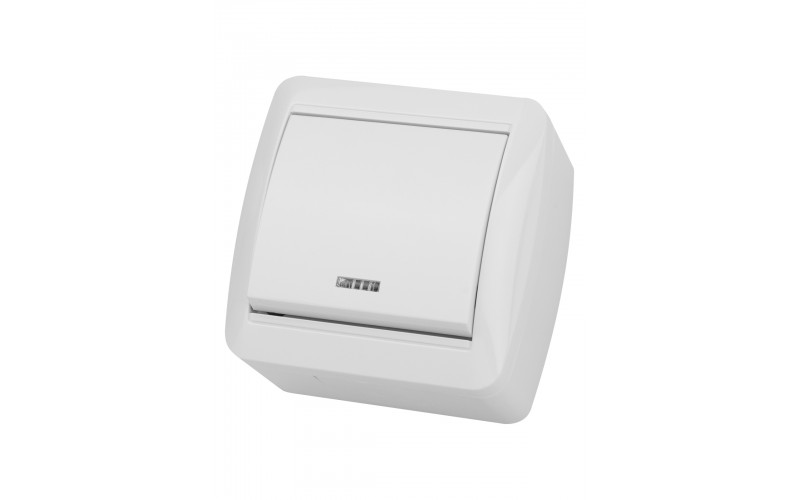 Выключатель 1-кл. открытой установки с подсветкой IP44 10А белый "Селигер" TDM SQ1818-0003