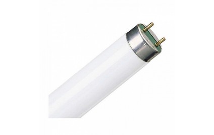 Лампа люминисцентная T8/765-18W-КС