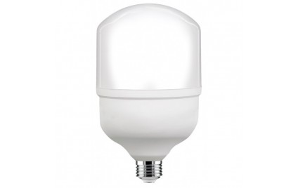 Myled T-LED 30W 6500K E27